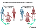 X-linked recessive genetic defects - how girls are affected