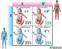 X-linked recessive genetic defects