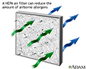 HEPA air filter