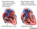 Heart beat