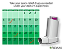 Asthma quick-relief drugs