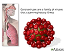 Coronavirus