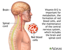 Vitamin B12 benefits