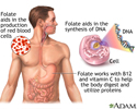 Vitamin B9 benefits