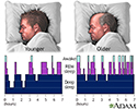 Sleep patterns in the young and aged