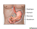 Secretin stimulation test