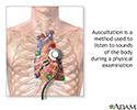 Auscultation