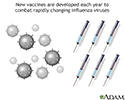 Influenza vaccines