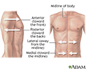 Lateral orientation