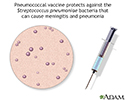 Pneumococcal vaccine