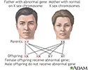 Genetics