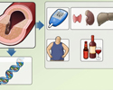 Types of hyperlipidemia